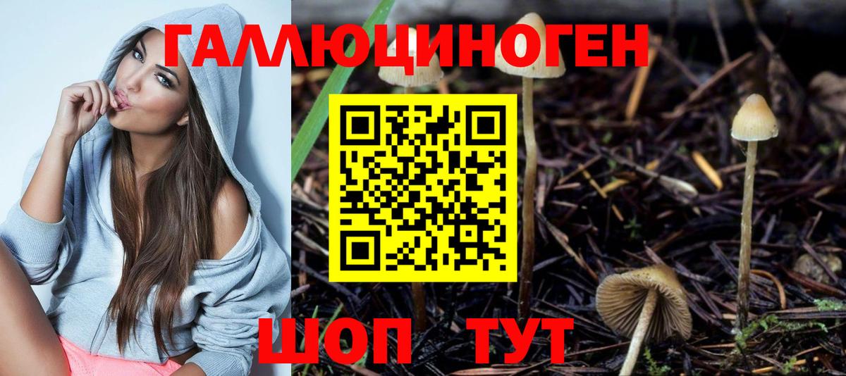 цена   Вход с VPN  Старая Купавна  Галлюциногенные грибы Magic Shrooms 